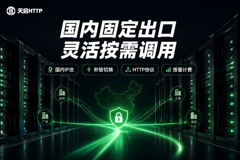 天启HTTP国内固定出口代理服务品牌图