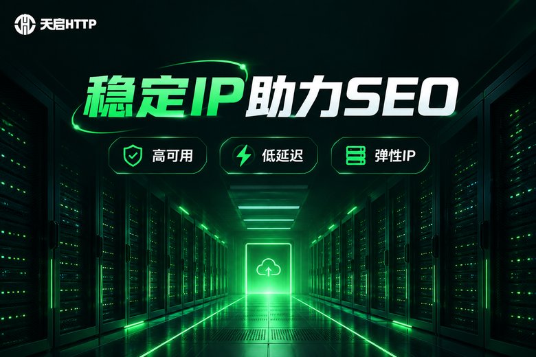 天启HTTP稳定IP助力SEO品牌图
