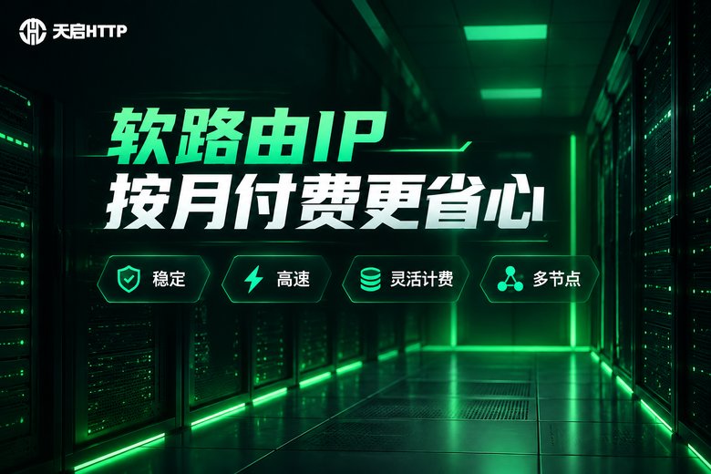 天启HTTP软路由IP品牌图