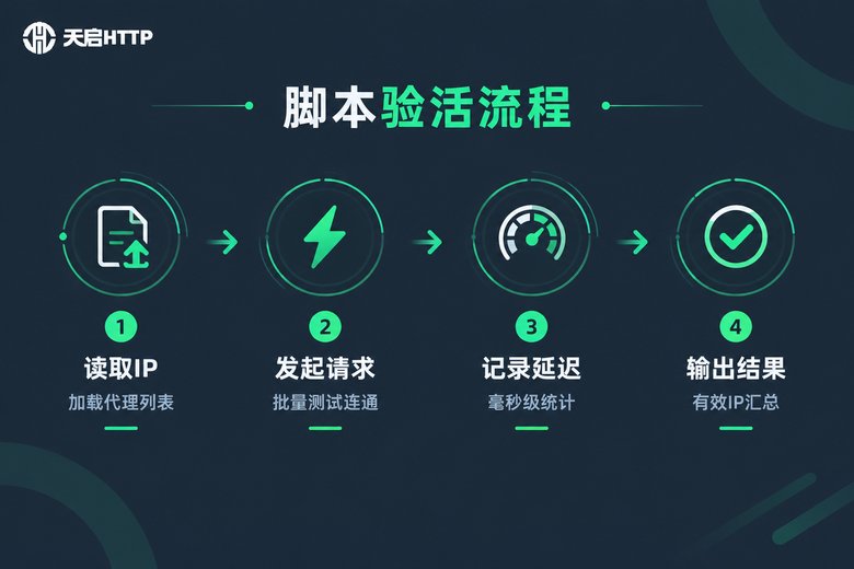 代理IP脚本验活流程信息图