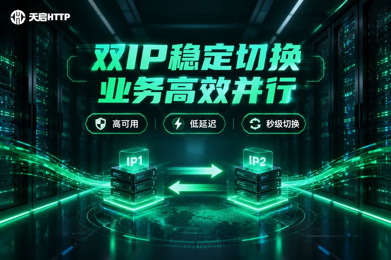 天启HTTP双IP代理品牌图