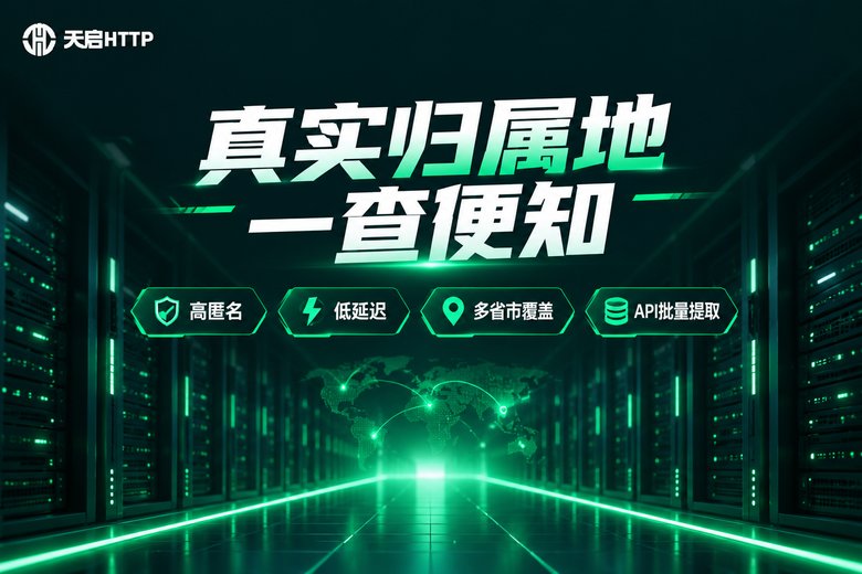 天启HTTP品牌图:真实归属地一查便知