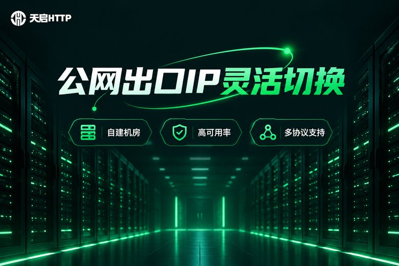 天启HTTP代理服务品牌图