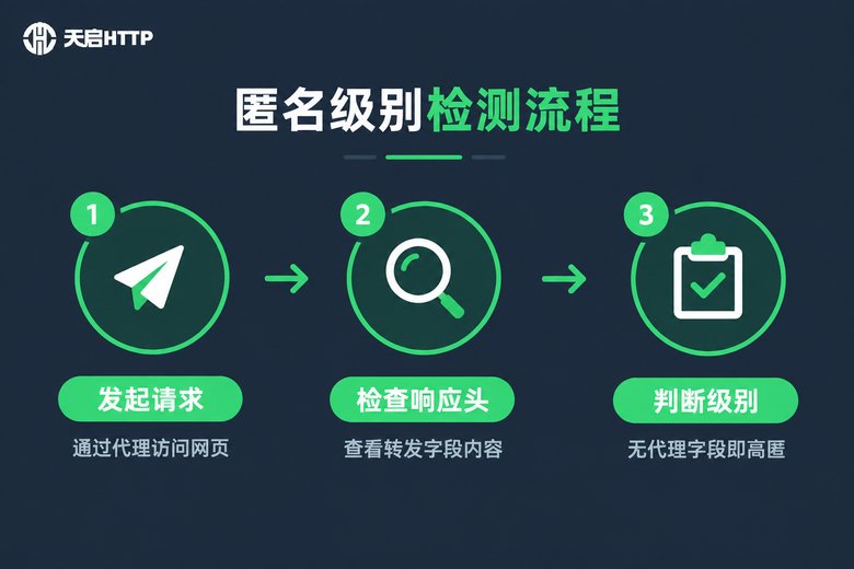 代理IP匿名级别检测流程信息图