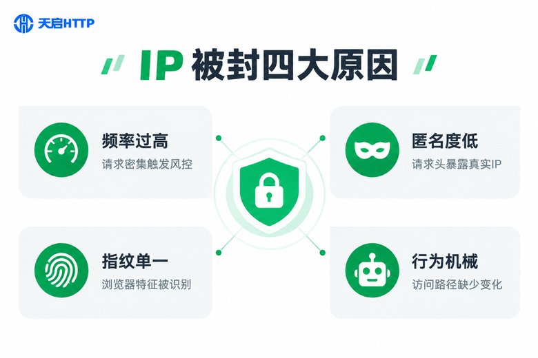 IP被封四大原因信息图