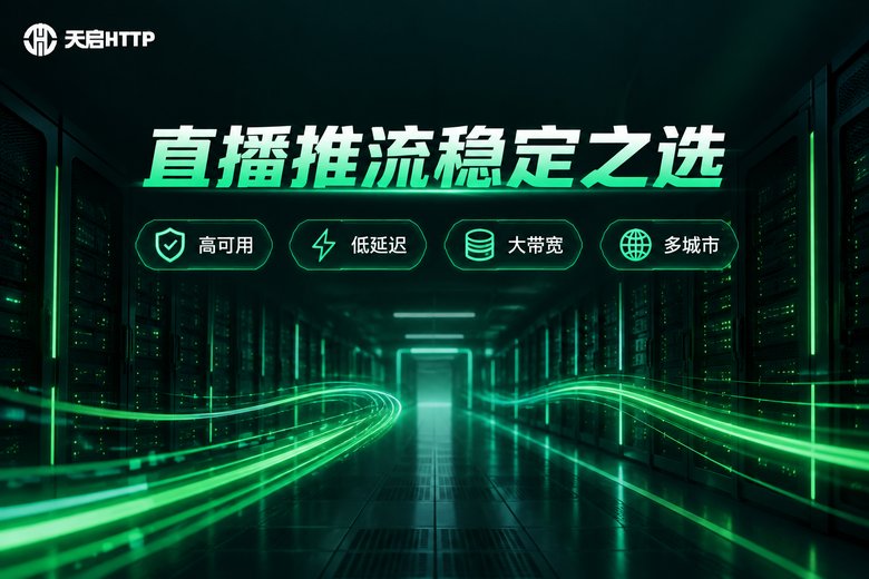 天启HTTP直播推流稳定之选品牌图