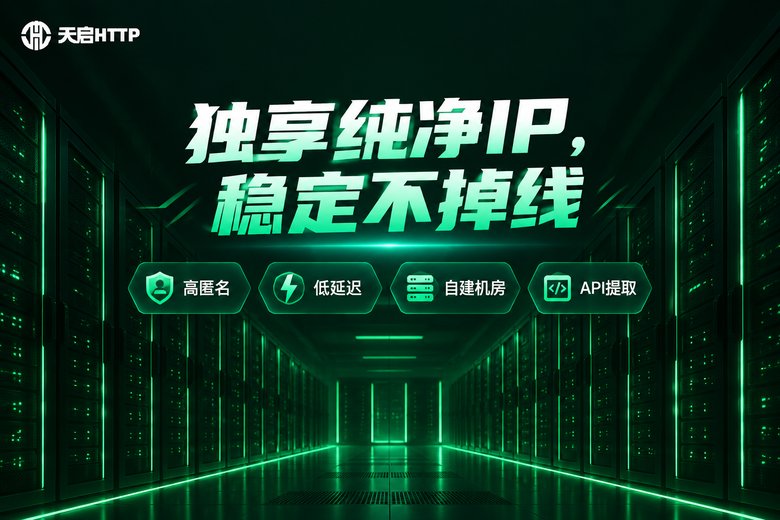 天启HTTP独享IP服务品牌宣传图