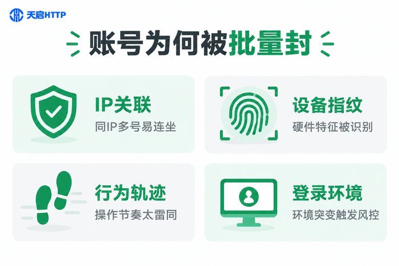 平台风控判定批量封号的四个核心维度信息图