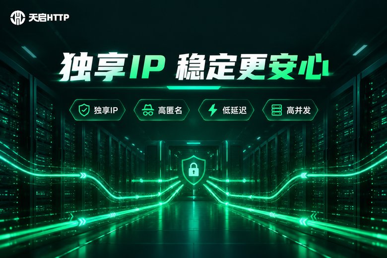 天启HTTP独享IP品牌信息图