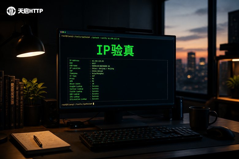 深夜电脑屏幕上显示IP验真检测结果