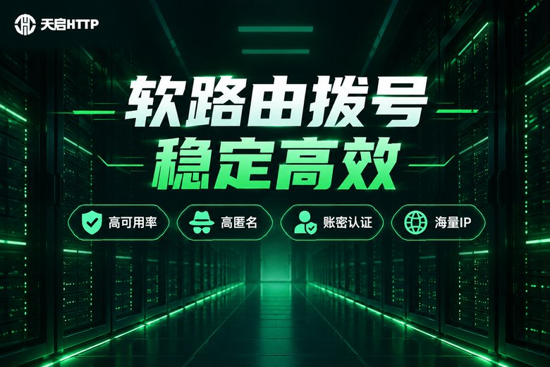 天启HTTP软路由代理服务品牌图
