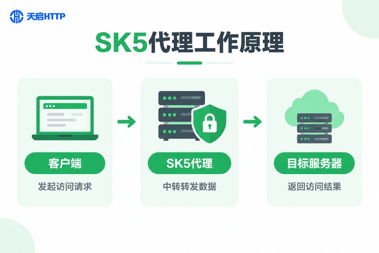 SK5代理工作原理流程图:客户端、SK5代理、目标服务器