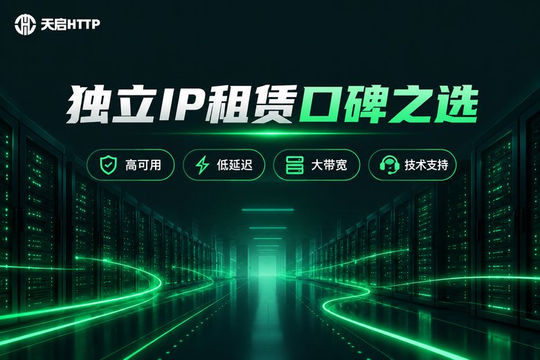 天启HTTP独立IP租赁品牌信息图