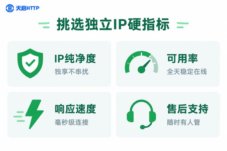 挑选独立IP服务商的四大核心指标信息图