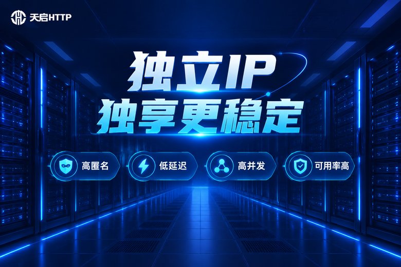 天启HTTP独立IP品牌信息图