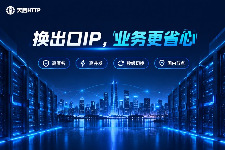 天启HTTP代理服务品牌信息图