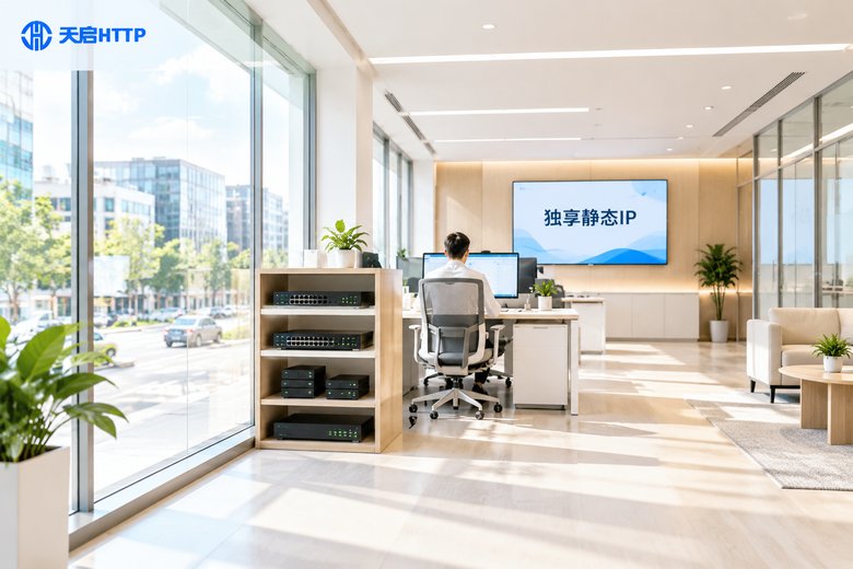 高质量独享静态IP使用攻略：场景适配与参数设置的完整参考