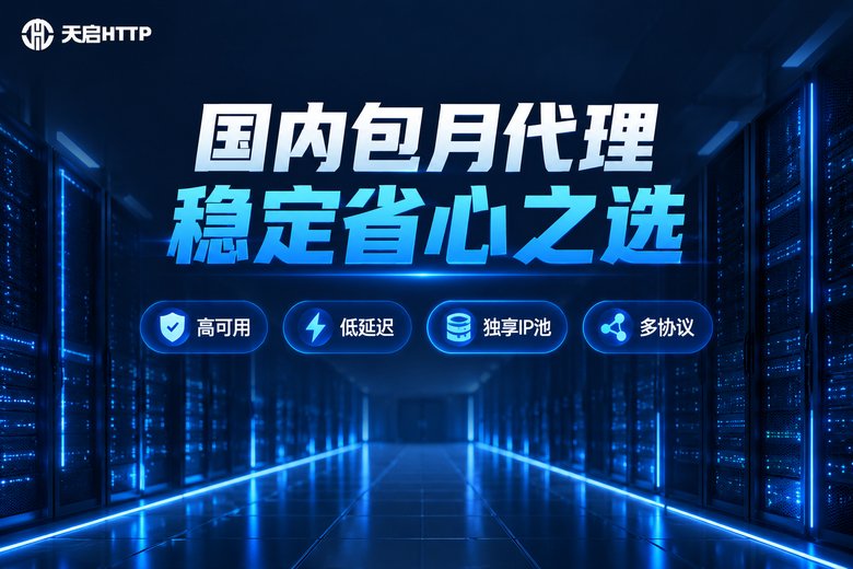 天启HTTP国内包月代理IP服务品牌图