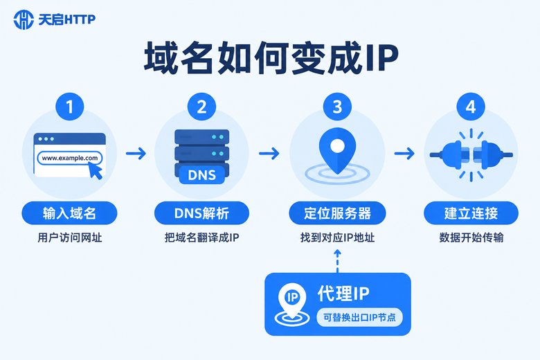 域名解析为IP的四步流程信息图