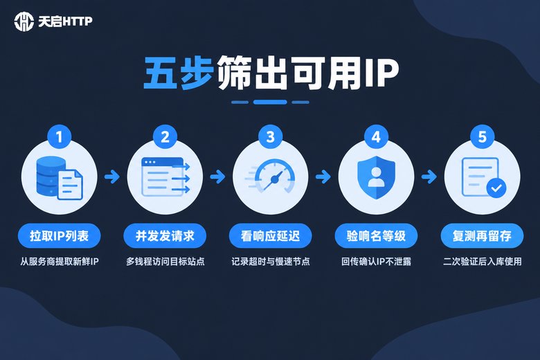 代理IP五步批量检测流程信息图