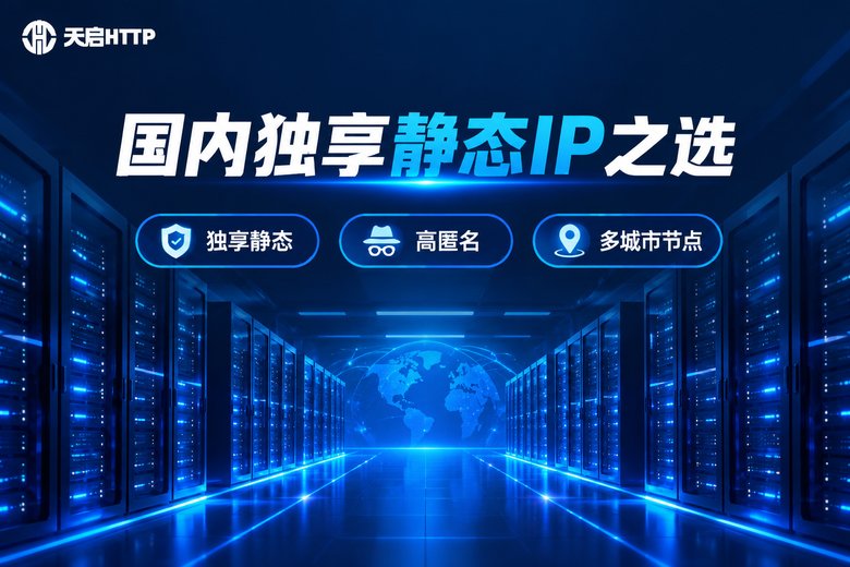 天启HTTP国内独享静态IP品牌信息图