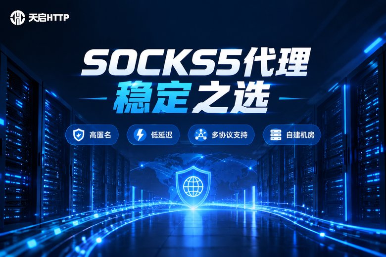 天启HTTP国内SOCKS5代理服务品牌图