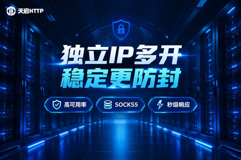 天启HTTP独立IP多开稳定防封品牌信息图
