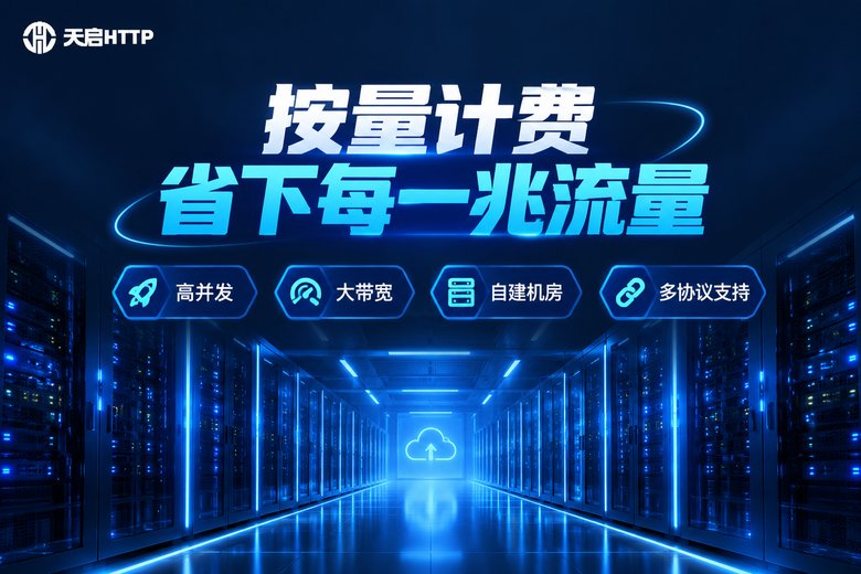 天启HTTP按量计费品牌形象图