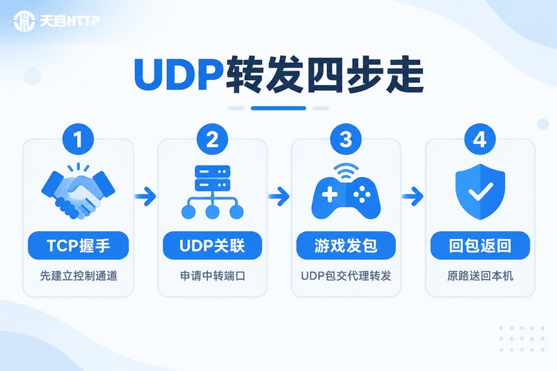SOCKS5代理UDP转发四步流程信息图