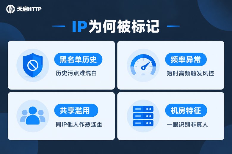 IP被标记的四大常见原因信息图