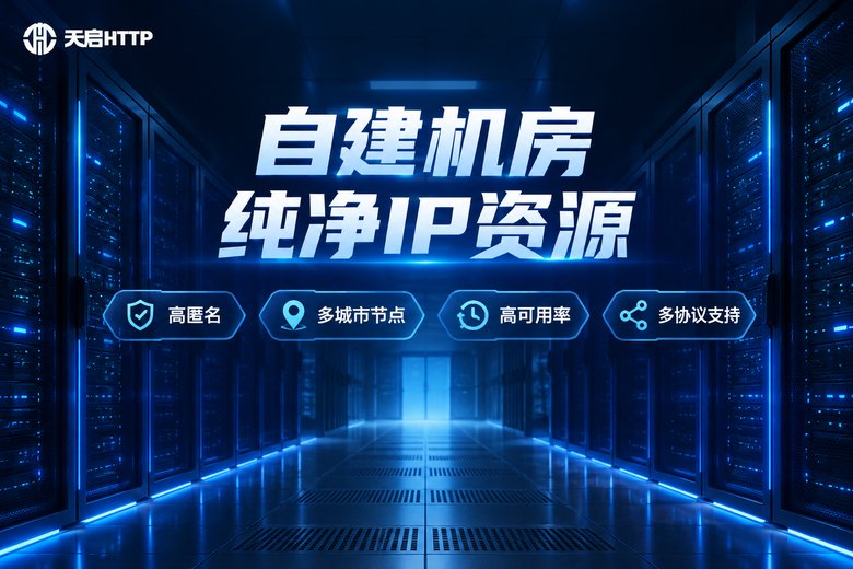 天启HTTP自建机房纯净IP资源品牌信息图