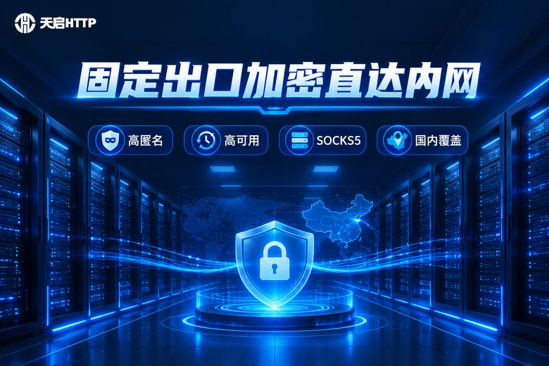 天启HTTP品牌图:固定出口加密直达内网