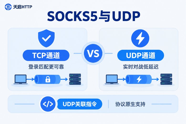 SOCKS5代理中TCP与UDP通道分工示意图