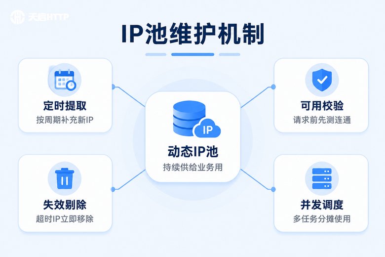 动态IP池维护与调度机制示意图
