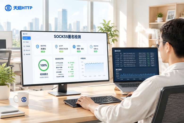 明亮办公室内通过检测面板验证SOCKS5代理匿名级别