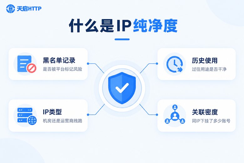 IP纯净度四大评估维度信息图