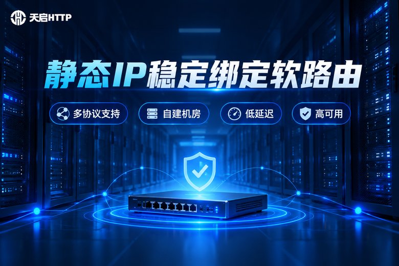 天启HTTP静态IP绑定软路由服务品牌信息图