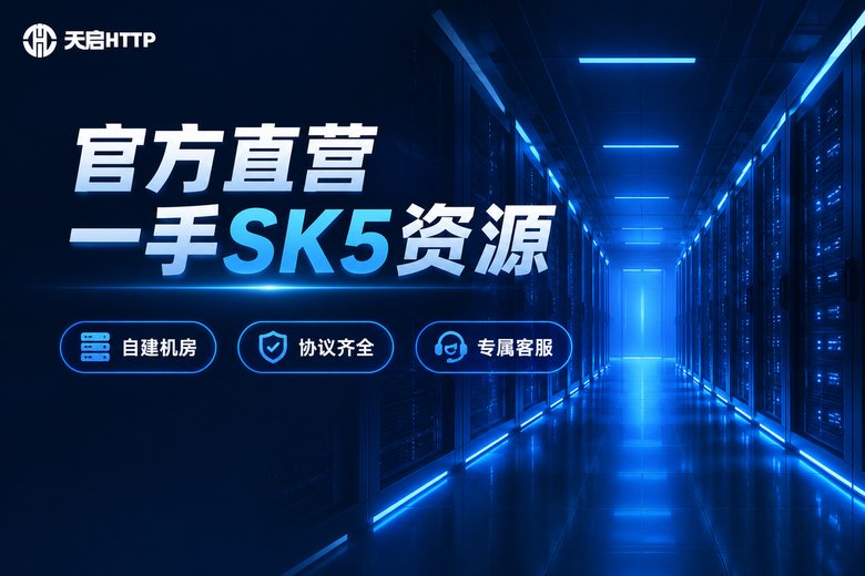 天启HTTP品牌图:官方直营一手SK5资源