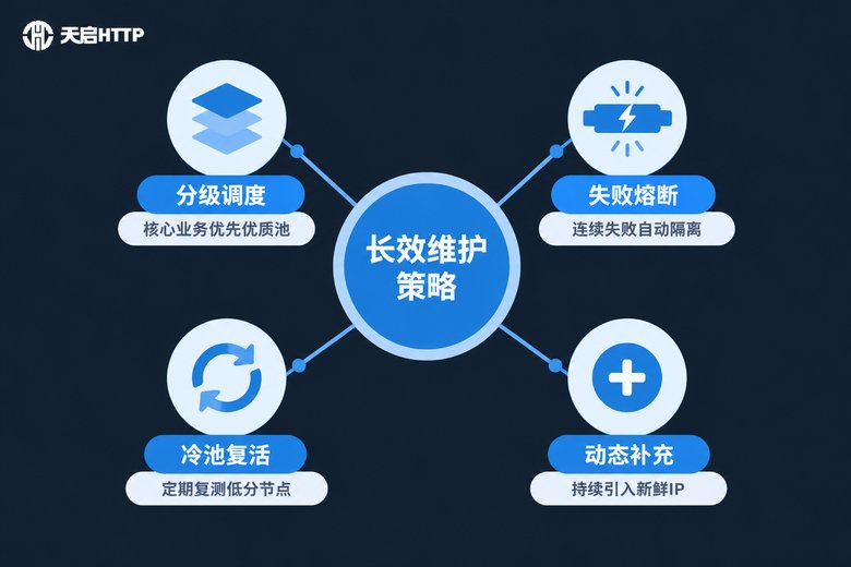 代理池长效维护策略信息图
