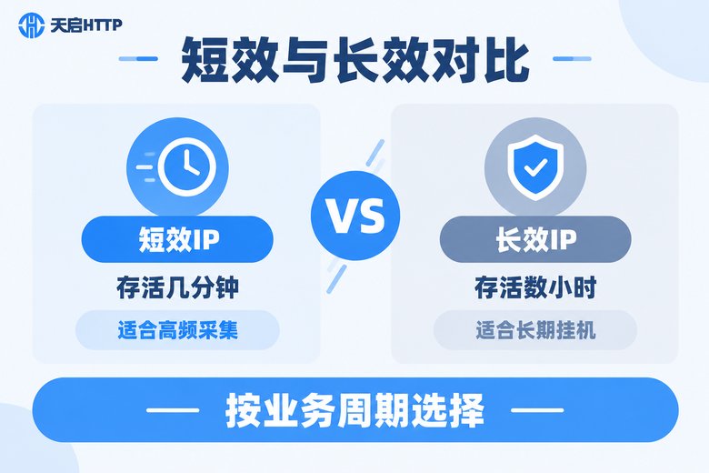 短效代理IP与长效代理IP核心差异对比信息图