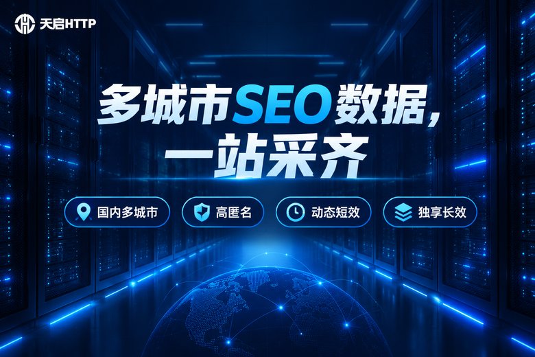 天启HTTP品牌信息图:多城市SEO数据一站采齐