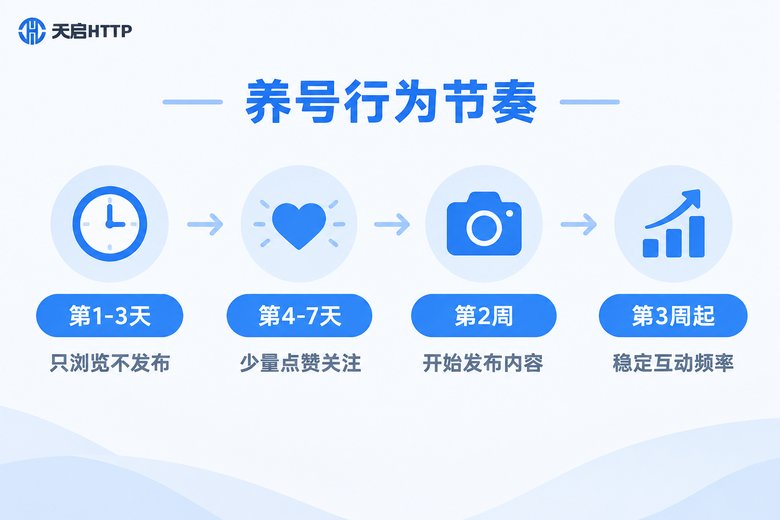 养号行为节奏时间线信息图
