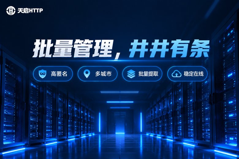 天启HTTP:批量管理井井有条,高匿名多城市批量提取
