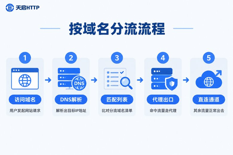按目标域名分流流程信息图