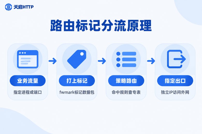 虚拟机路由标记策略分流原理信息图